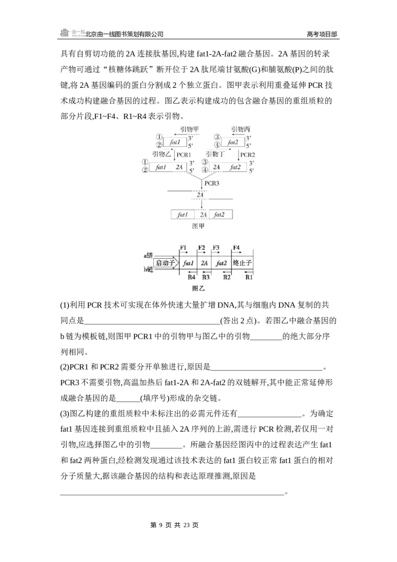 《1_专题过关检测练Word-第24章　基因工程_2026版教学资源包_202653高考总复习A版_新高考_生物_教师A版2026年.新高考版.生物.53_第5部分生物技术与工程_第24章基因工程_6_专题检测》第9页预览