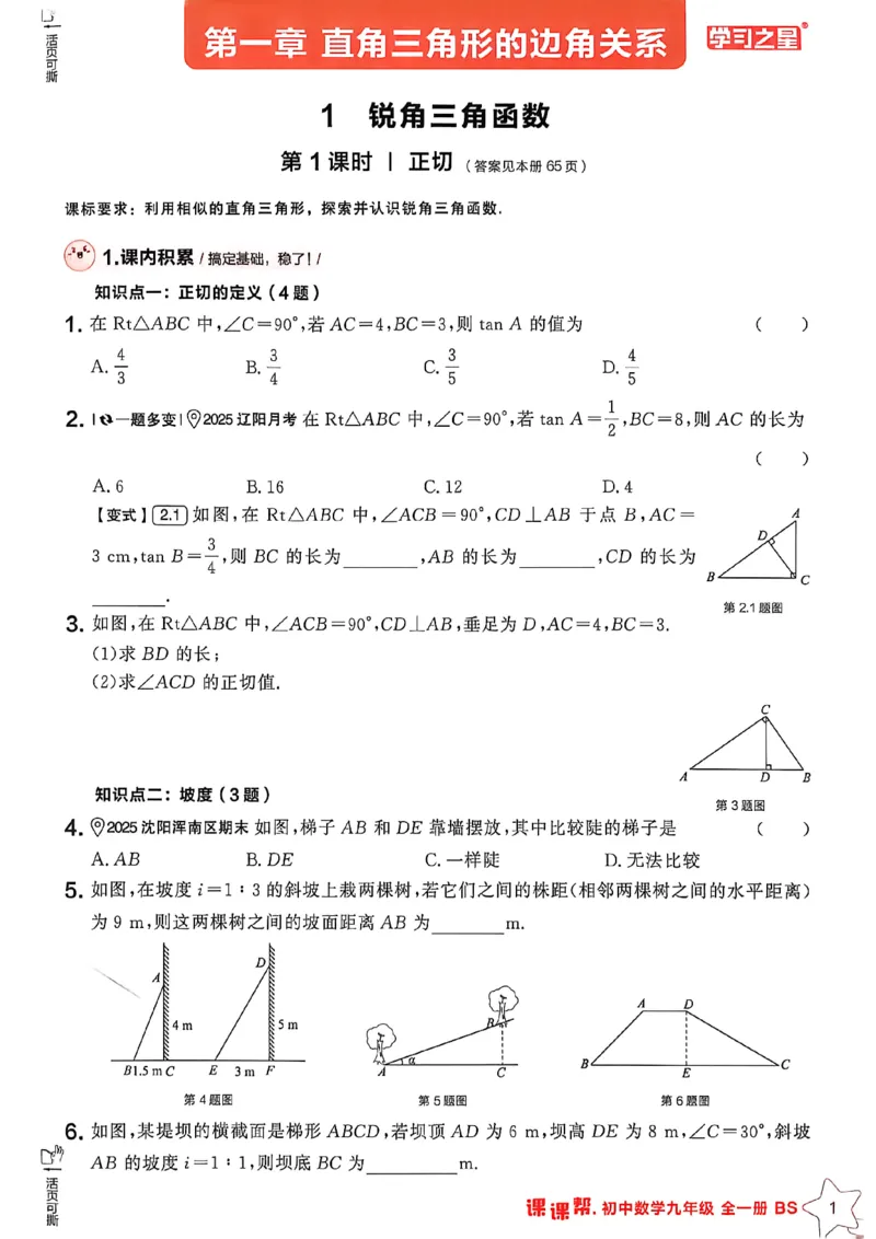 《九下BSD数学A4_2026秋初中教辅合集_2027学习之星_2027《学习之星•课课帮》9全数学（北师）》第3页预览