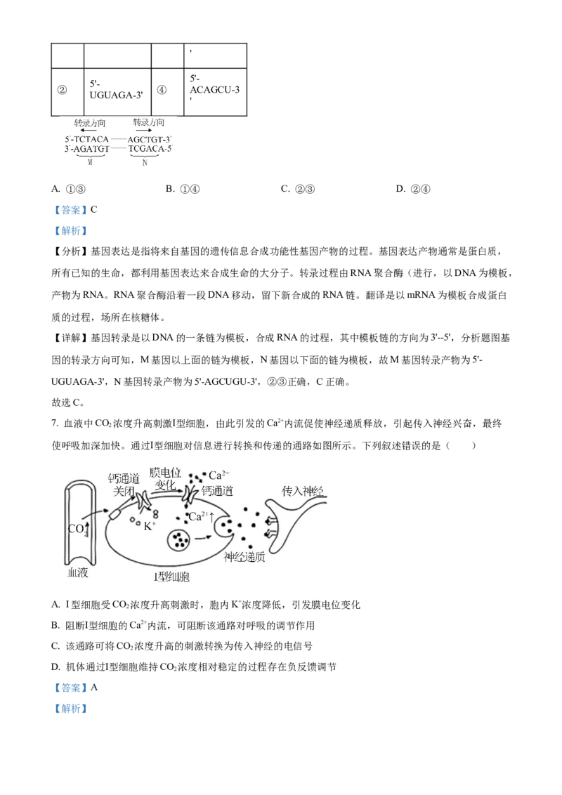 《2025高考河北卷生物真题试卷（解析版）(1)_高考一二三轮复习_生物_2027年高考生物专项_2008年-2026年生物高考真题-G427_2025年高考_2025年高考河北卷生物高考真题解析（参考版）》第4页预览