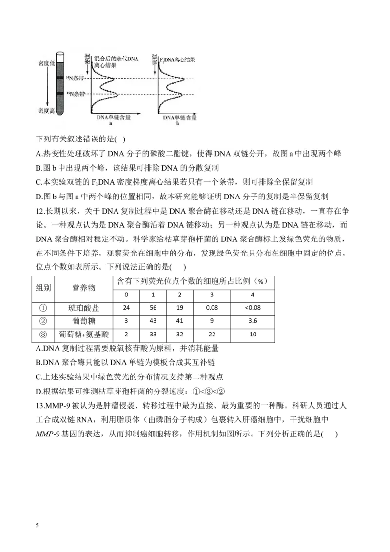 《专题7遗传的分子基础（选择题）——高考生物学模块分练新高考版（含解析）_2026版高中《二三轮复习+冲刺复习》》第5页预览
