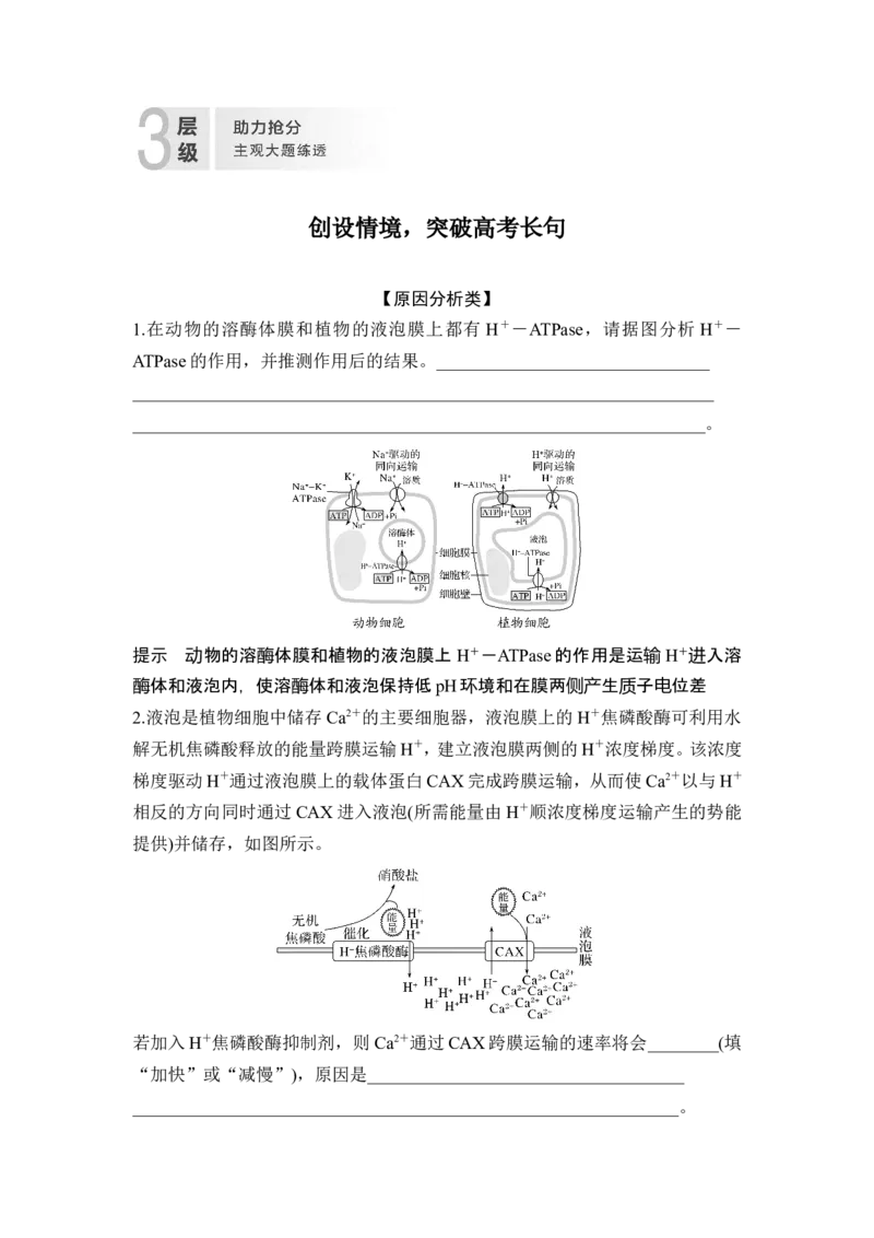 《创设情境，突破高考长句(1)_2026版高中《二三轮复习+冲刺复习》_高考生物生物二轮2026届高考生物步步高大二轮专题复习教师用书(word版)+教师用书配套PPT+题库(word版)(完整版)》第1页预览