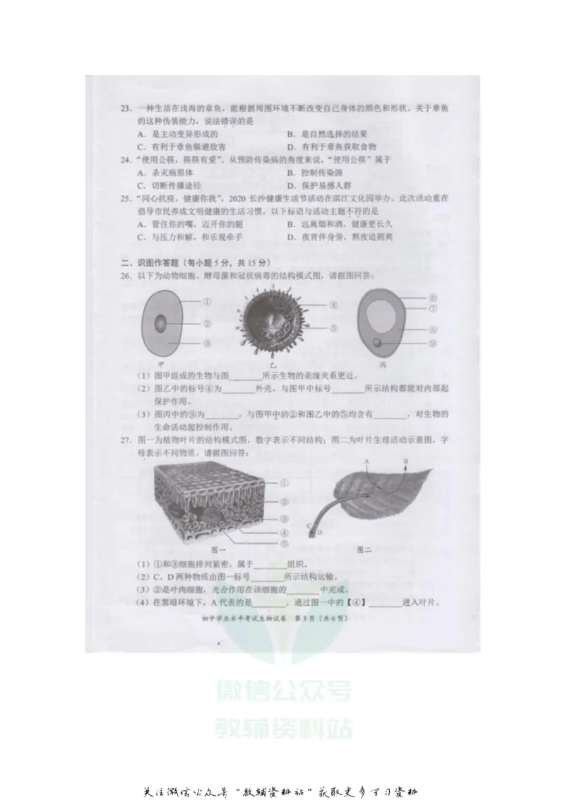 《2020湖南长沙中考生物试题及答案_初高中资料库_初中资料库（转存避免链接过期失效）_初中生物》第3页预览
