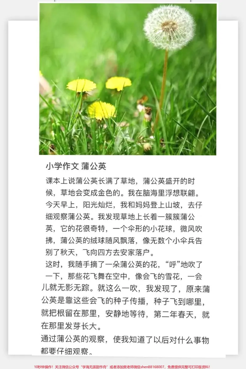 《#一年级#二年级#作文#qunju888.com潮流东方季#qunju888.com小助手#小学语文#知识点总结》第1页预览
