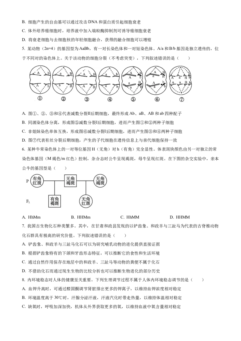 《2025年高考甘肃卷生物真题试卷（原卷版）(1)_高考一二三轮复习_生物_2027年高考生物专项_2008年-2026年生物高考真题-G427_2025年高考_2025年高考甘肃卷生物高考真题解析（参考版）》第2页预览