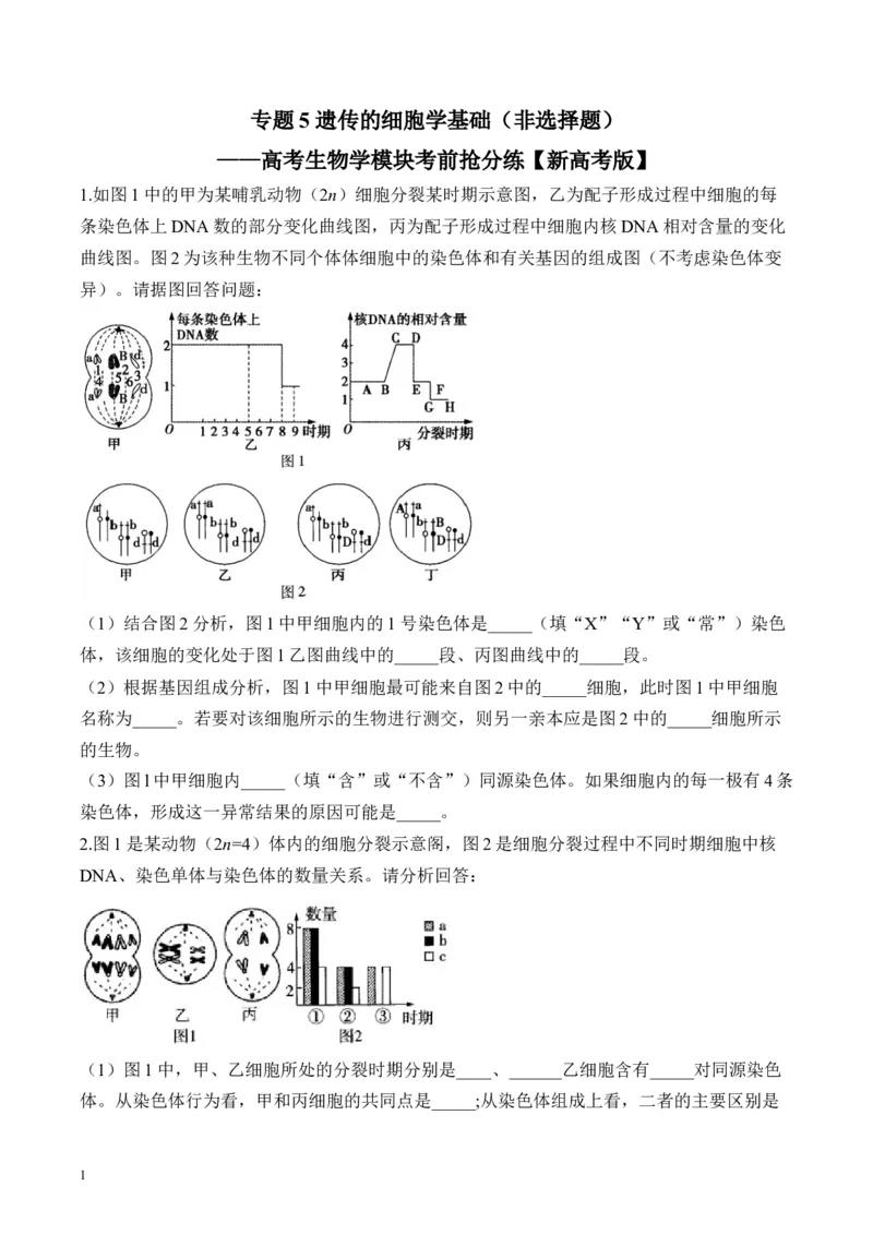 《专题5遗传的细胞学基础（非选择题）——高考生物学模块分练新高考版（含解析）(1)_2026版高中《二三轮复习+冲刺复习》》第1页预览