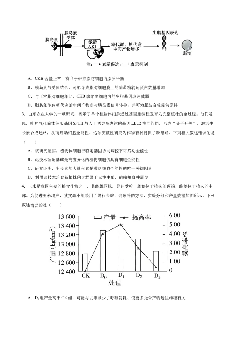 《2026年高考生物临考冲刺卷03（黑吉辽蒙专用）（考试版）_高考一二三轮复习_生物_2026年-生物高考专项复习_2026年高考生物终极冲刺讲练测（黑吉辽蒙专用）-G466_2026版》第2页预览