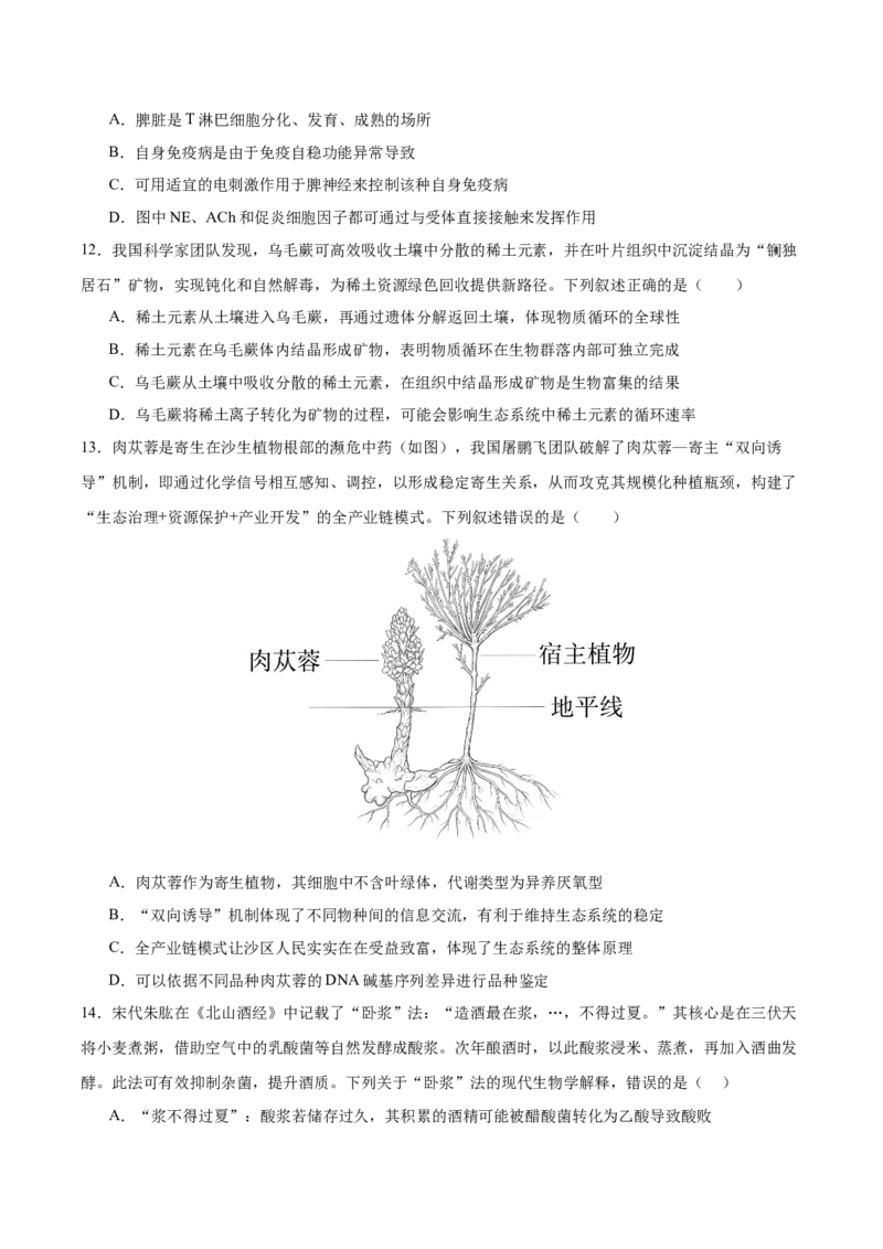 《2026年高考生物临考冲刺卷03（黑吉辽蒙专用）（考试版）_高考一二三轮复习_生物_2026年-生物高考专项复习_2026年高考生物终极冲刺讲练测（黑吉辽蒙专用）-G466_2026版》第6页预览