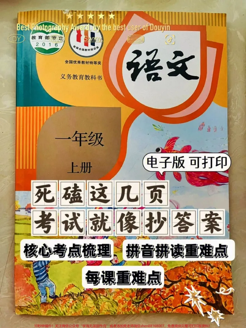 《一年级语文上册期中考试卷单元测试高频测试。#一年级重点知识归纳#拼音#识字#生字词#期中考试成绩出炉》第1页预览