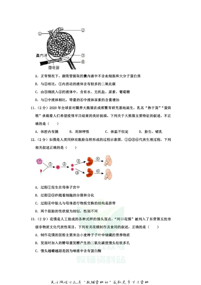 《2020山东省东营市中考生物真题_初高中资料库_初中资料库（转存避免链接过期失效）_初中生物》第4页预览