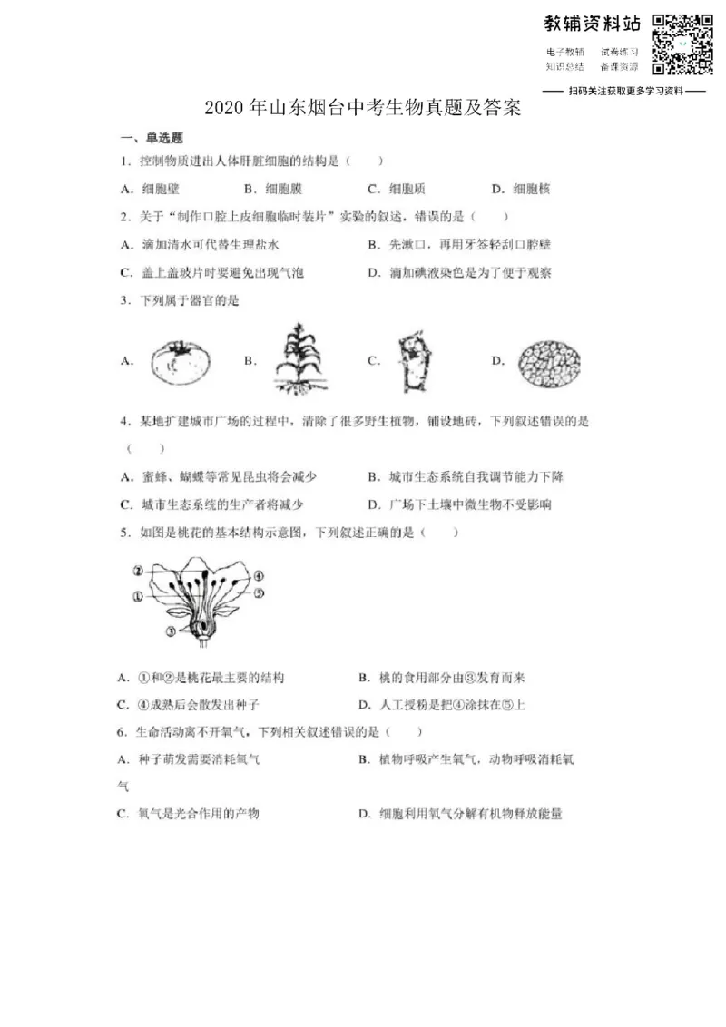 《2020山东烟台中考生物真题及答案_初高中资料库_初中资料库（转存避免链接过期失效）_初中生物》第1页预览