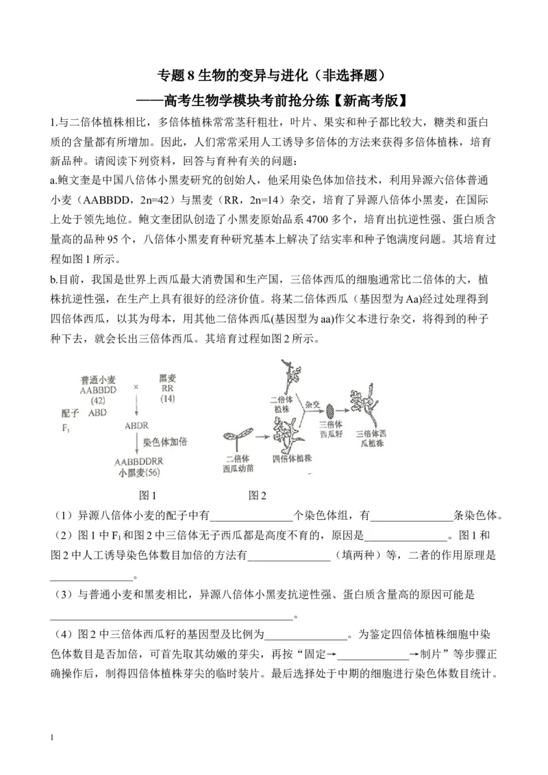 《专题8生物的变异与进化（非选择题）——高考生物学模块分练新高考版（含解析）(1)_2026版高中《二三轮复习+冲刺复习》》第1页预览