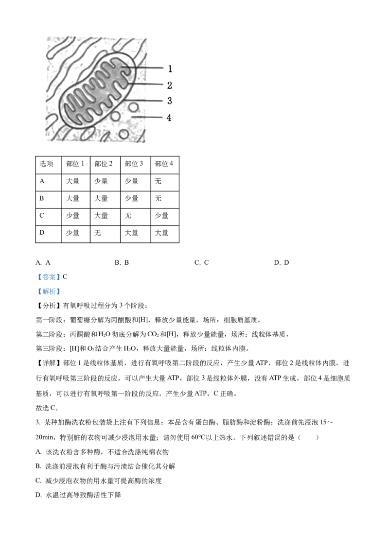 《2025高考北京卷生物真题试卷（解析版）(1)_高考一二三轮复习_生物_2027年高考生物专项_2008年-2026年生物高考真题-G427_2025年高考_2025年高考北京卷生物高考真题解析（参考版）》第2页预览