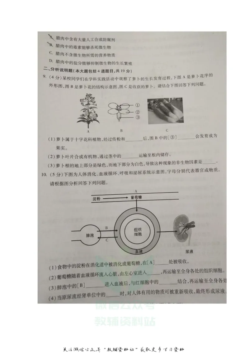《2020甘肃平凉中考生物真题及答案_初高中资料库_初中资料库（转存避免链接过期失效）_初中生物》第2页预览