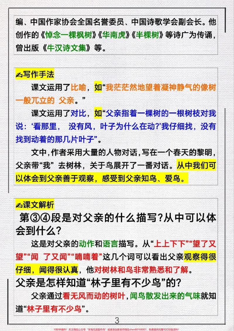 《三年级上册语文第23课《父亲`树林和鸟》》第3页预览