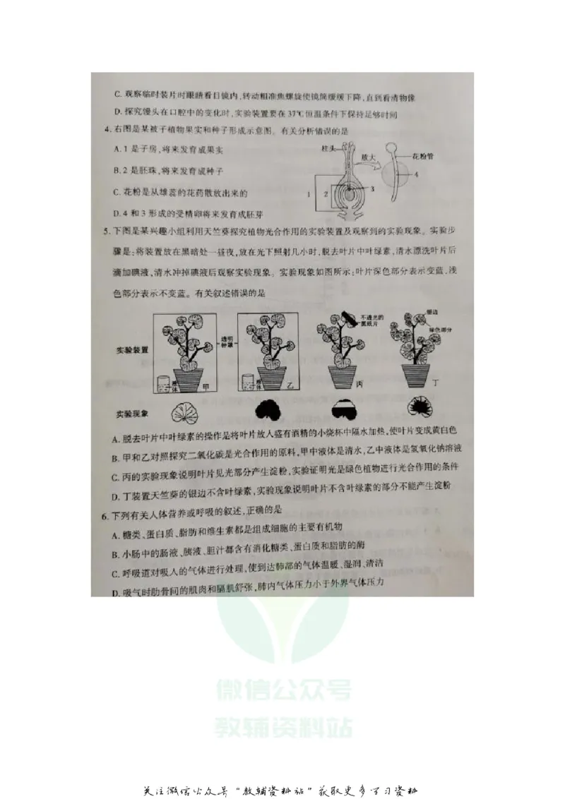 《2020山东泰安中考生物真题及答案_初高中资料库_初中资料库（转存避免链接过期失效）_初中生物》第2页预览