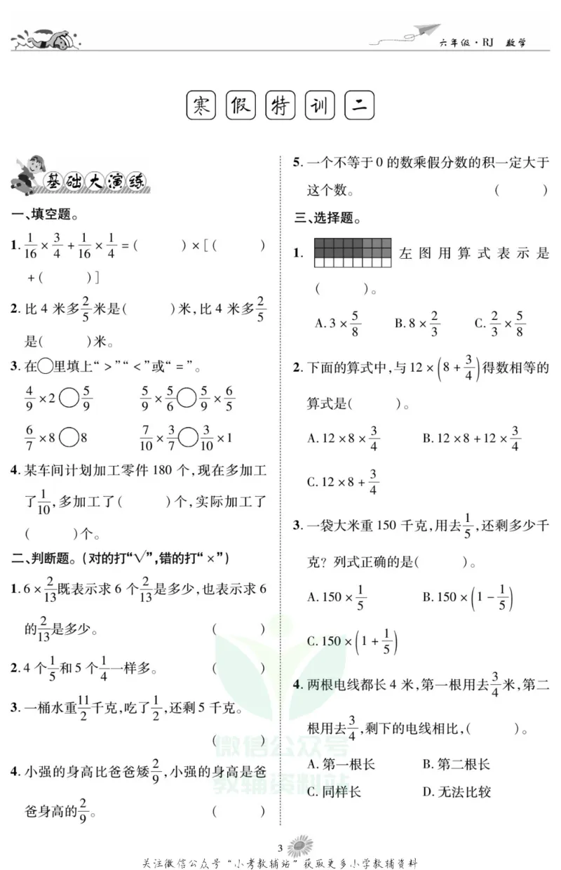 《假期特训·学期总复习六年级寒假数学人教版_07.小学语文、英语、数学专区_小学寒假教辅汇总_1~8年级假期特训·学期总复习_6年级》第5页预览