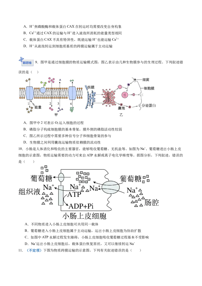 《第07讲物质运输（专项训练）（黑吉辽蒙专用）（学生版）_高考一二三轮复习_生物_2026年高考生物一轮_2026年高考生物一轮课件+讲义+练习（黑吉辽蒙专用）-G330》第9页预览