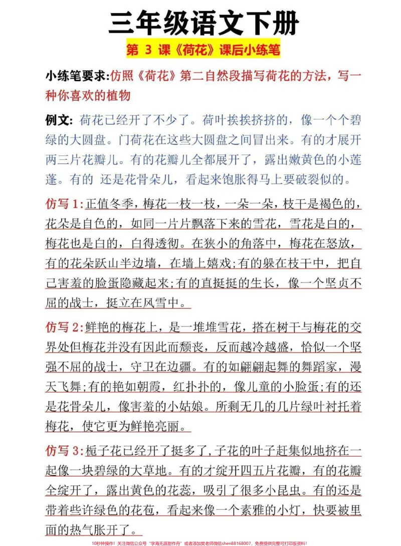 《三年级语文下册第3课《荷花》课后小练笔。课后小练笔范文来了#三年级语文#三年级#小练笔#写作素材#小学作文》第1页预览