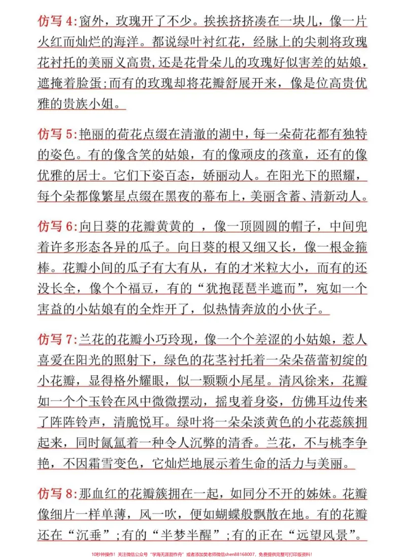 《三年级语文下册第3课《荷花》课后小练笔。课后小练笔范文来了#三年级语文#三年级#小练笔#写作素材#小学作文》第2页预览