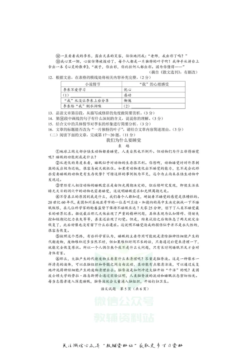 《2020海南省五指山市中考语文试题及答案_初高中资料库_初中资料库（转存避免链接过期失效）_初中语文》第5页预览