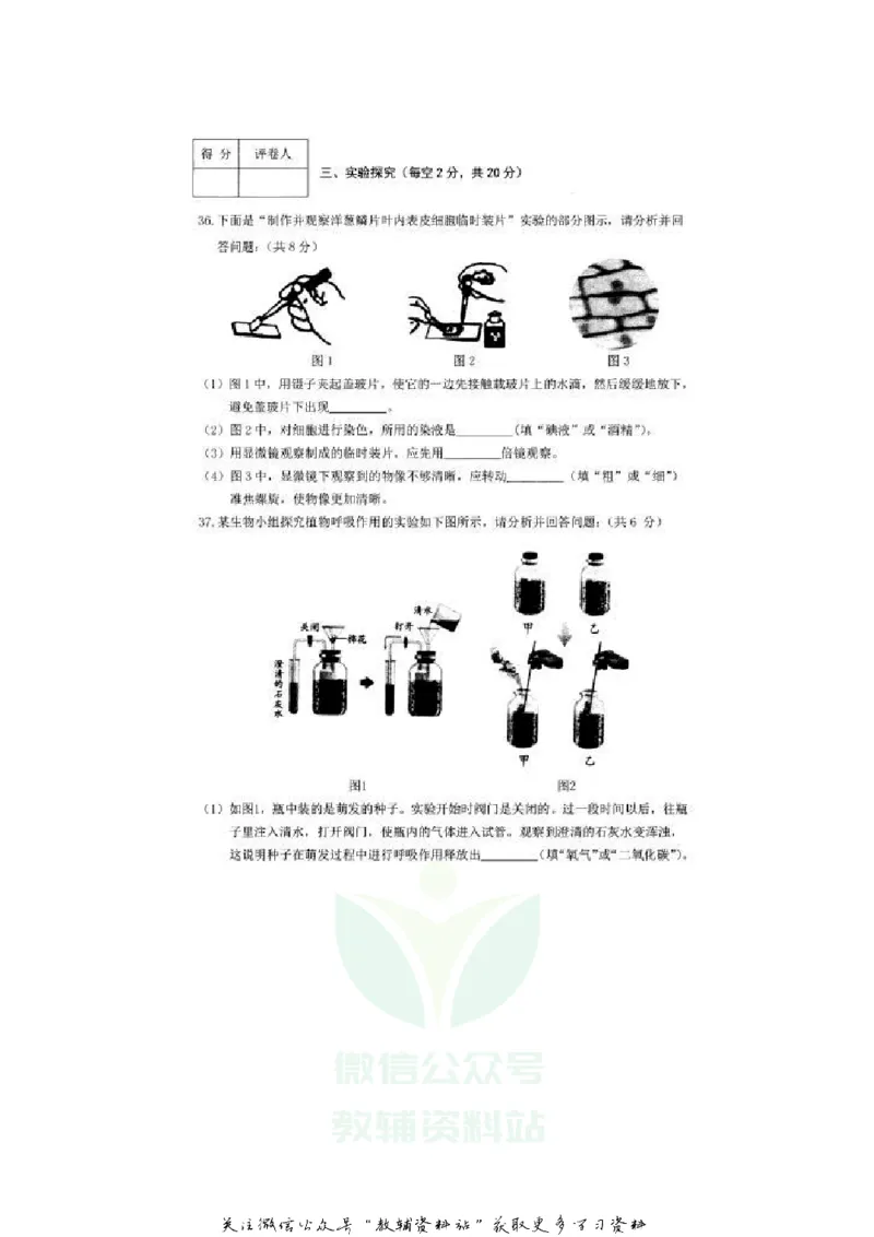 《2020黑龙江大兴安岭中考生物真题及答案_初高中资料库_初中资料库（转存避免链接过期失效）_初中化学》第4页预览