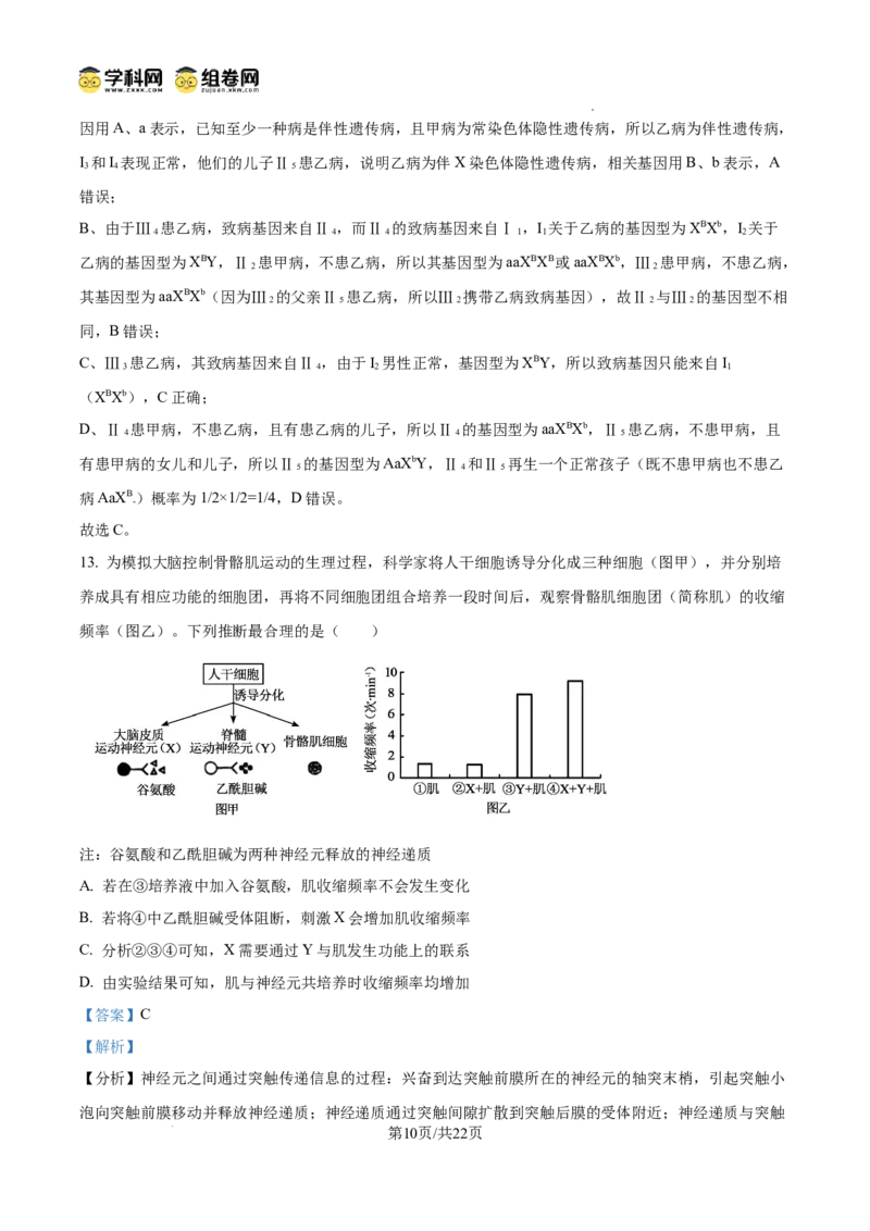 《2025高考四川卷生物真题试卷(解析版)(1)_高考一二三轮复习_生物_2027年高考生物专项_2008年-2026年生物高考真题-G427_2025年高考_2025年高考四川卷生物高考真题解析(参考版)》第10页预览