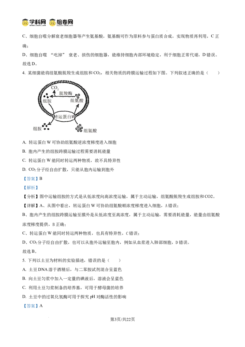 《2025高考四川卷生物真题试卷(解析版)(1)_高考一二三轮复习_生物_2027年高考生物专项_2008年-2026年生物高考真题-G427_2025年高考_2025年高考四川卷生物高考真题解析(参考版)》第3页预览
