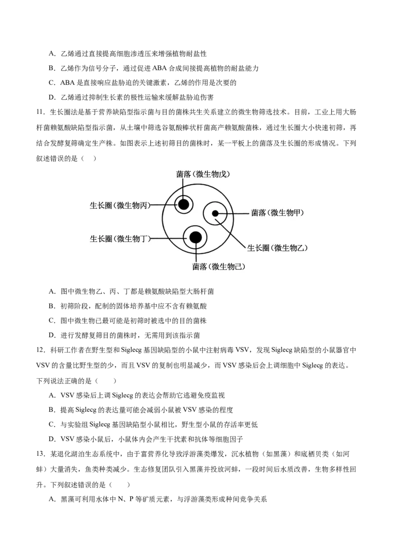 《2026年高考生物临考冲刺卷02（黑吉辽蒙专用）（考试版）_高考一二三轮复习_生物_2026年-生物高考专项复习_2026年高考生物终极冲刺讲练测（黑吉辽蒙专用）-G466_2026版》第4页预览
