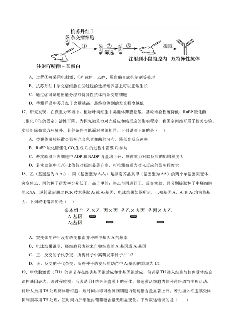 《2026年高考生物临考冲刺卷02（黑吉辽蒙专用）（考试版）_高考一二三轮复习_生物_2026年-生物高考专项复习_2026年高考生物终极冲刺讲练测（黑吉辽蒙专用）-G466_2026版》第6页预览