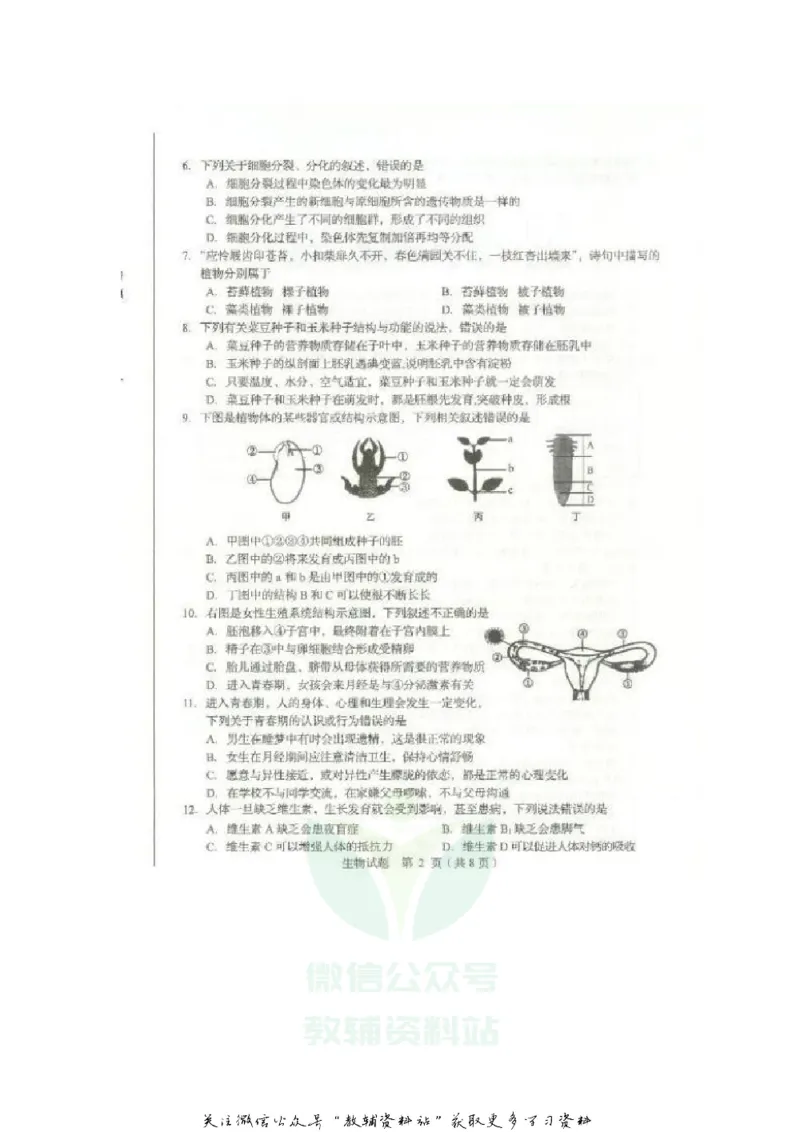 《2020山东临沂中考生物真题及答案_初高中资料库_初中资料库（转存避免链接过期失效）_初中生物》第2页预览