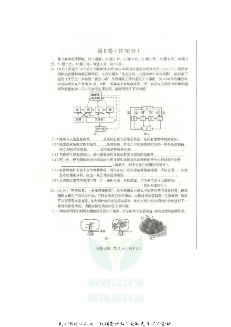 《2020山东临沂中考生物真题及答案_初高中资料库_初中资料库（转存避免链接过期失效）_初中生物》第5页预览