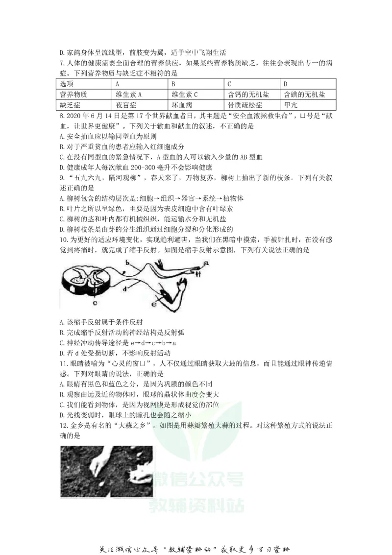《2020山东省济宁市中考生物真题及答案_初高中资料库_初中资料库（转存避免链接过期失效）_初中生物》第2页预览