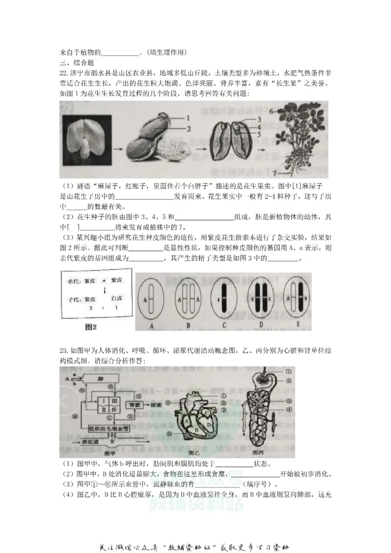 《2020山东省济宁市中考生物真题及答案_初高中资料库_初中资料库（转存避免链接过期失效）_初中生物》第5页预览