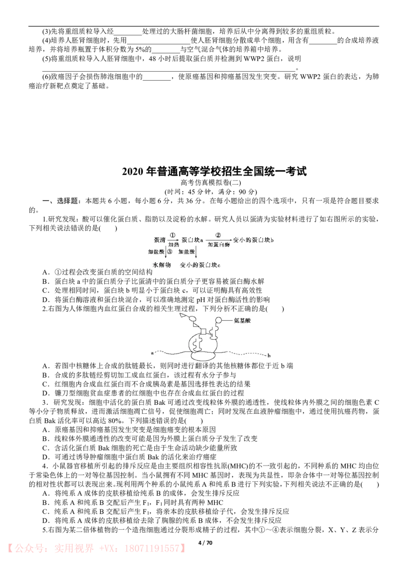 《2020年高考模拟仿真卷16份-生物_初高中资料库_高中资料库（转存避免链接过期失效）_高中生物》第4页预览