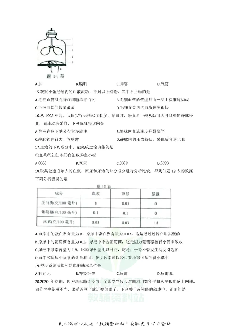 《2020重庆市涪陵区初中结业考试生物试题及答案_初高中资料库_初中资料库（转存避免链接过期失效）_初中生物》第3页预览