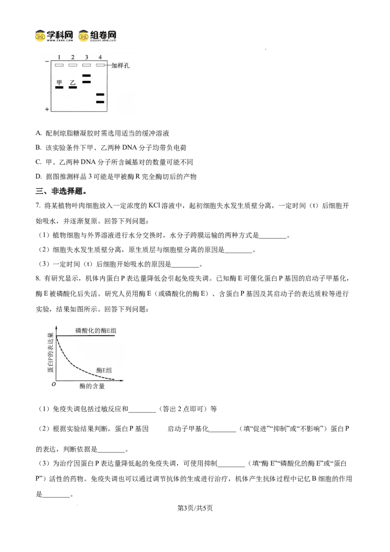 《2025高考课标卷生物(原卷版)(1)_高考一二三轮复习_生物_2027年高考生物专项_2008年-2026年生物高考真题-G427_2025年高考_2025年高考全国卷理综生物高考真题解析(参考版)》第3页预览