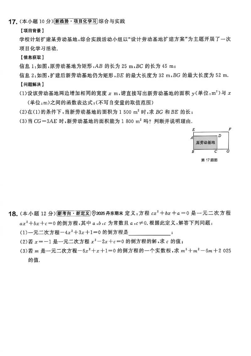 《九上BSD阶段检测卷A4_2026秋初中教辅合集_2027学习之星_2027《学习之星•课课帮》9全数学（北师）》第8页预览