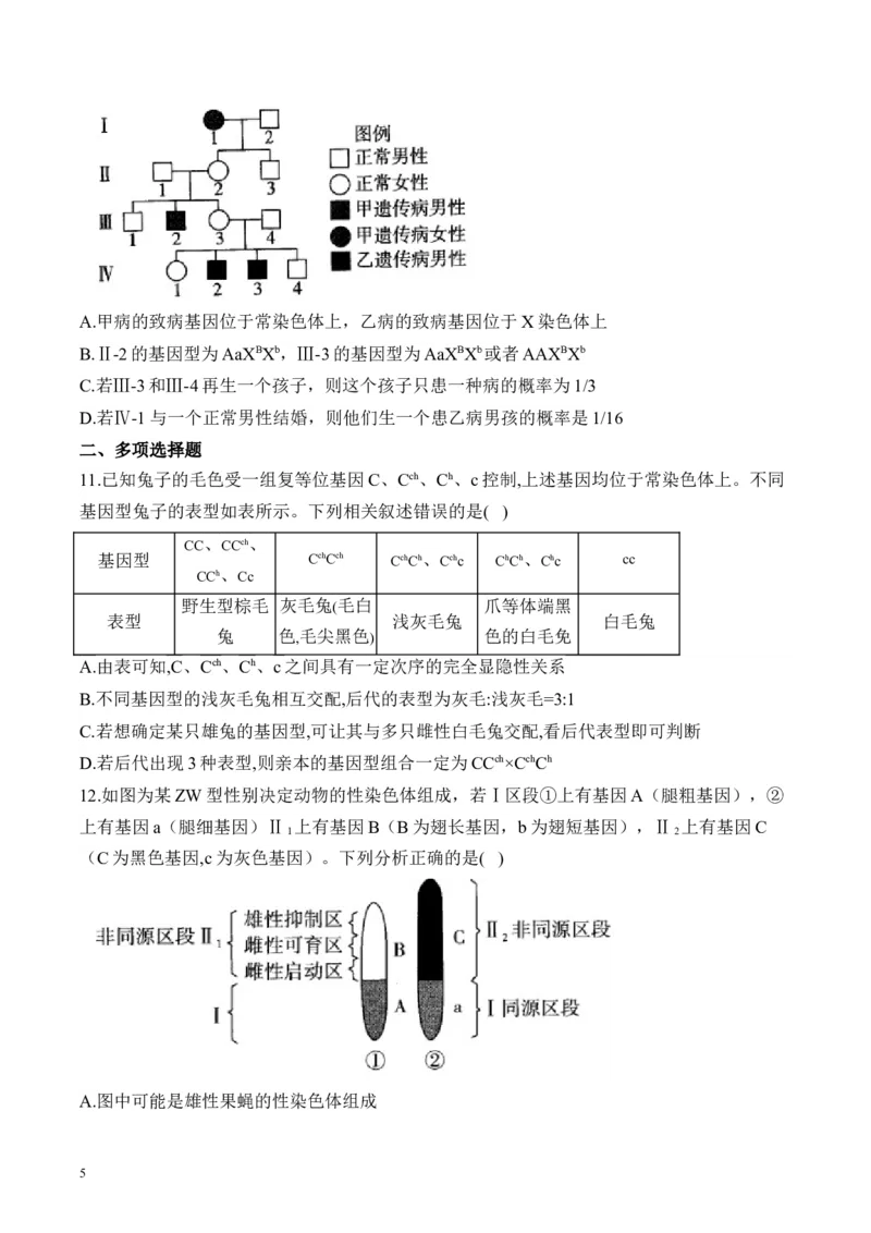 《专题6遗传的基本规律（选择题）——高考生物学模块分练新高考版（含解析）_2026版高中《二三轮复习+冲刺复习》》第5页预览