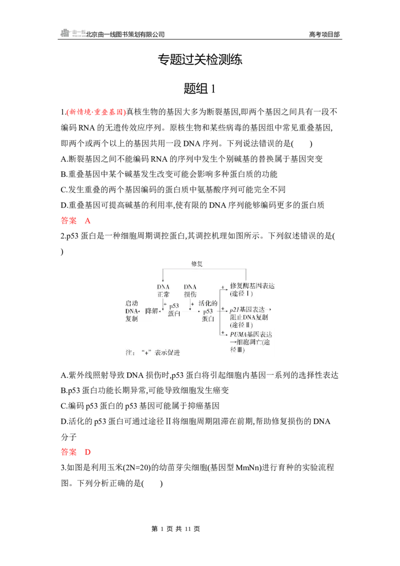 《1_专题过关检测练Word-第11章　基因突变及其他变异_2026版教学资源包_202653高考总复习A版_湖南版_2026版.湖南版.选考总复习.生物.5·3A版_第2部分遗传与进化_第11章基因突变及其他变异》第1页预览