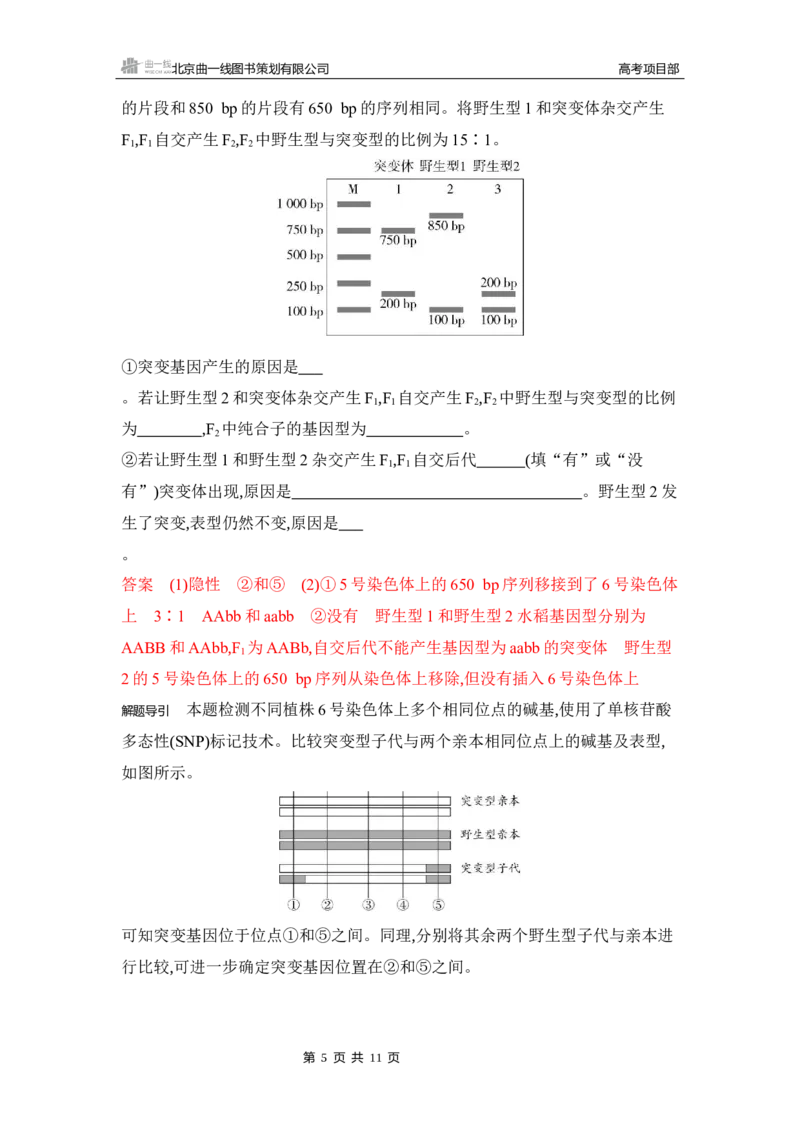 《1_专题过关检测练Word-第11章　基因突变及其他变异_2026版教学资源包_202653高考总复习A版_湖南版_2026版.湖南版.选考总复习.生物.5·3A版_第2部分遗传与进化_第11章基因突变及其他变异》第5页预览