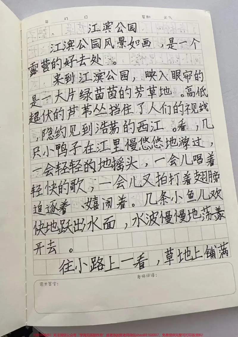 《优秀作文。#每天学习一点点#家长必读#干货分享#一年级》第1页预览