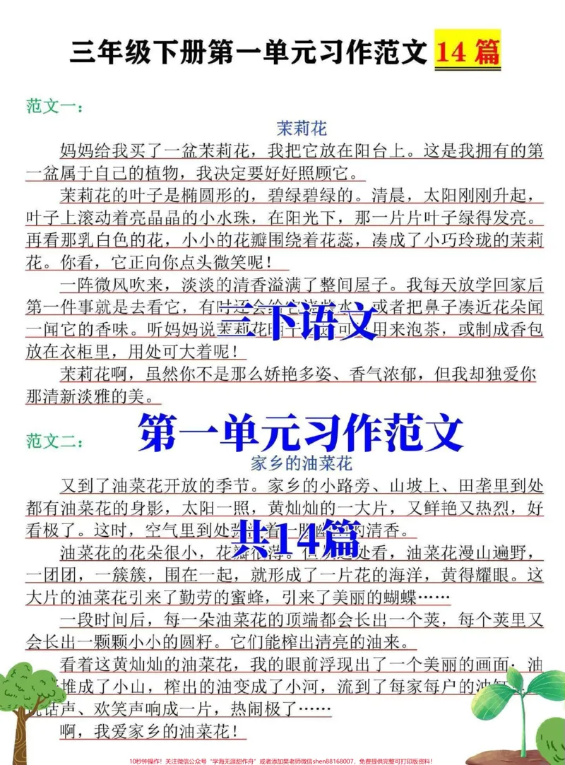 《三年级语文下册第一单元习作范文。《我的植物朋友》高分范文14篇,家长打印一份给孩子读一读#三年级#三年级语文#小学生作文#三年级作文#小学作文》第1页预览