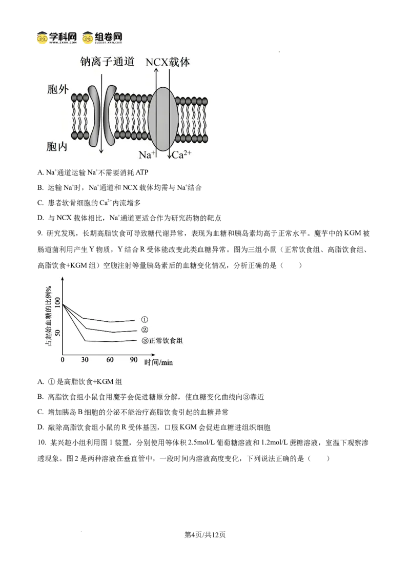《2025高考重庆卷生物(原卷版)(1)_高考一二三轮复习_生物_2027年高考生物专项_2008年-2026年生物高考真题-G427_2025年高考_2025年高考重庆卷生物高考真题解析(参考版)》第4页预览