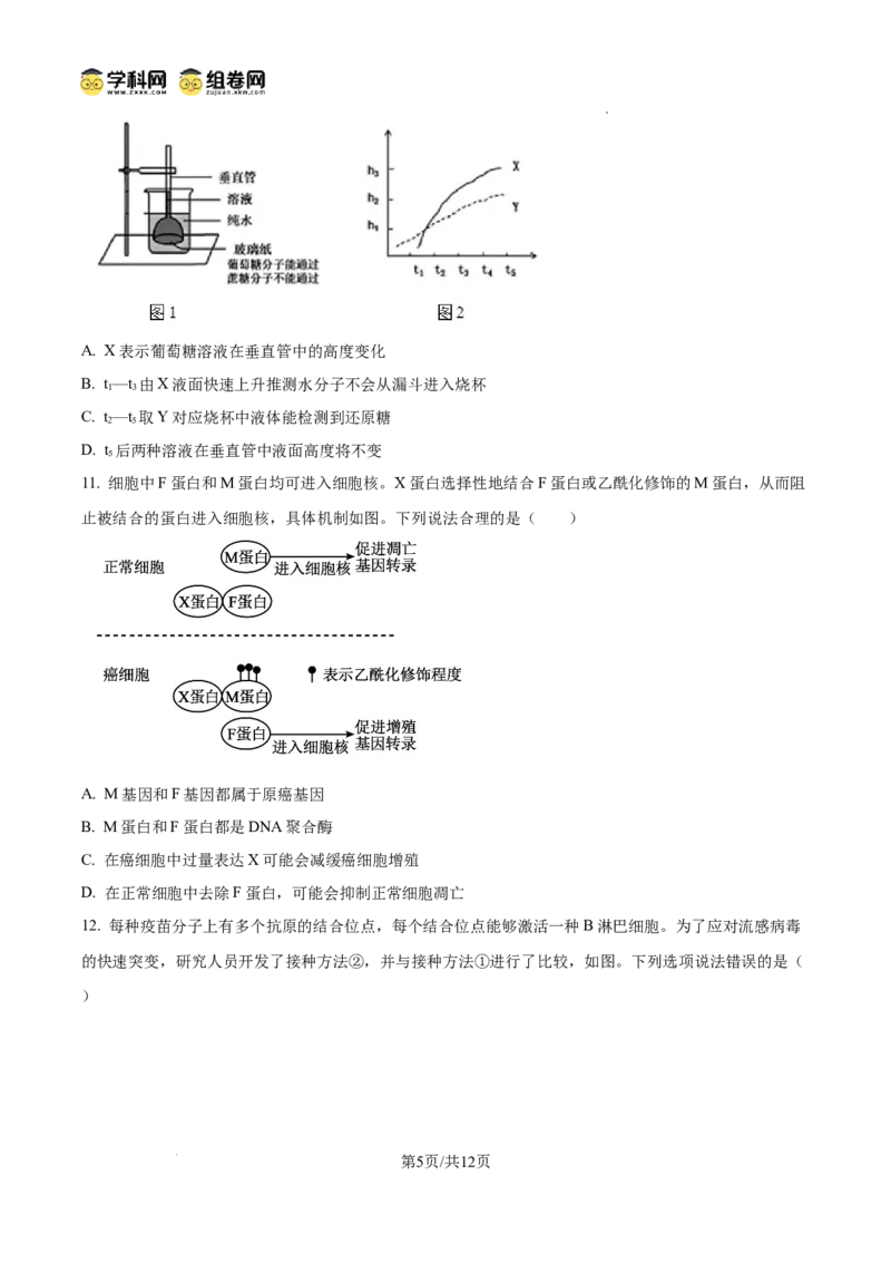 《2025高考重庆卷生物(原卷版)(1)_高考一二三轮复习_生物_2027年高考生物专项_2008年-2026年生物高考真题-G427_2025年高考_2025年高考重庆卷生物高考真题解析(参考版)》第5页预览