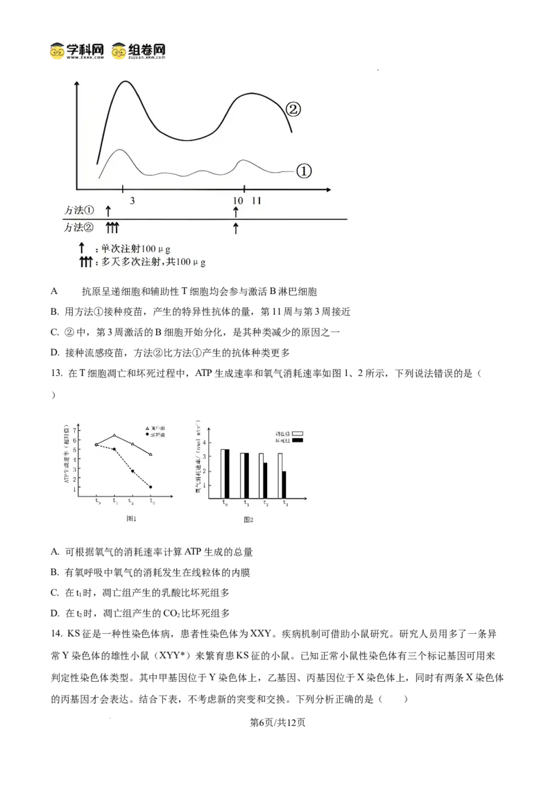 《2025高考重庆卷生物(原卷版)(1)_高考一二三轮复习_生物_2027年高考生物专项_2008年-2026年生物高考真题-G427_2025年高考_2025年高考重庆卷生物高考真题解析(参考版)》第6页预览