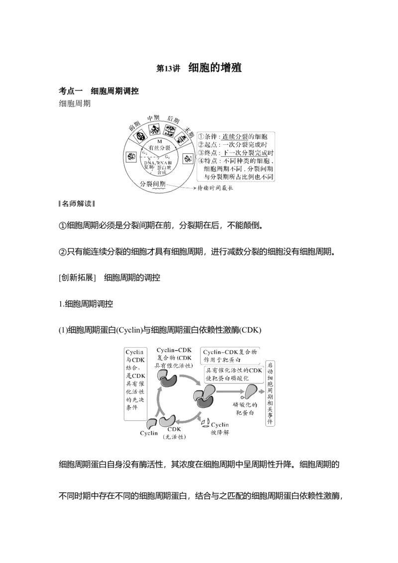 《第13讲细胞的增殖_高考一二三轮复习_生物_2027年高考生物一轮_12027年高考生物一轮复习讲义（考点详解）》第1页预览