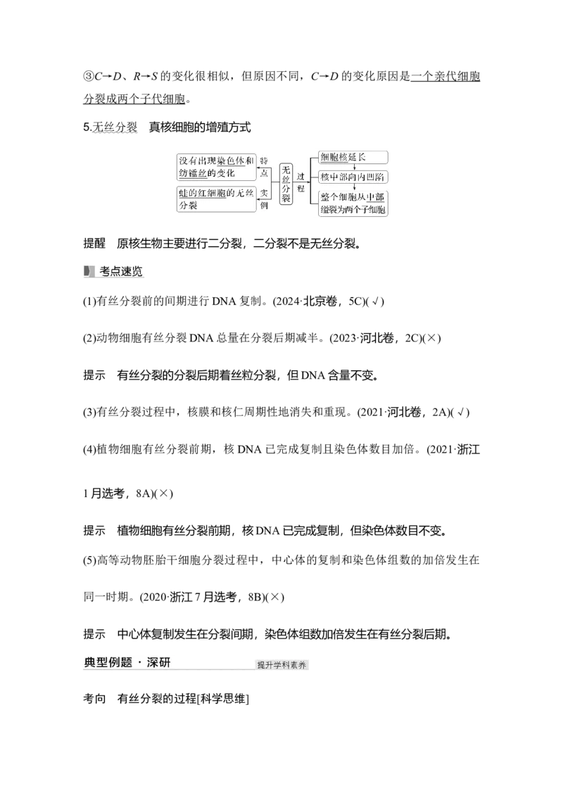 《第13讲细胞的增殖_高考一二三轮复习_生物_2027年高考生物一轮_12027年高考生物一轮复习讲义（考点详解）》第10页预览