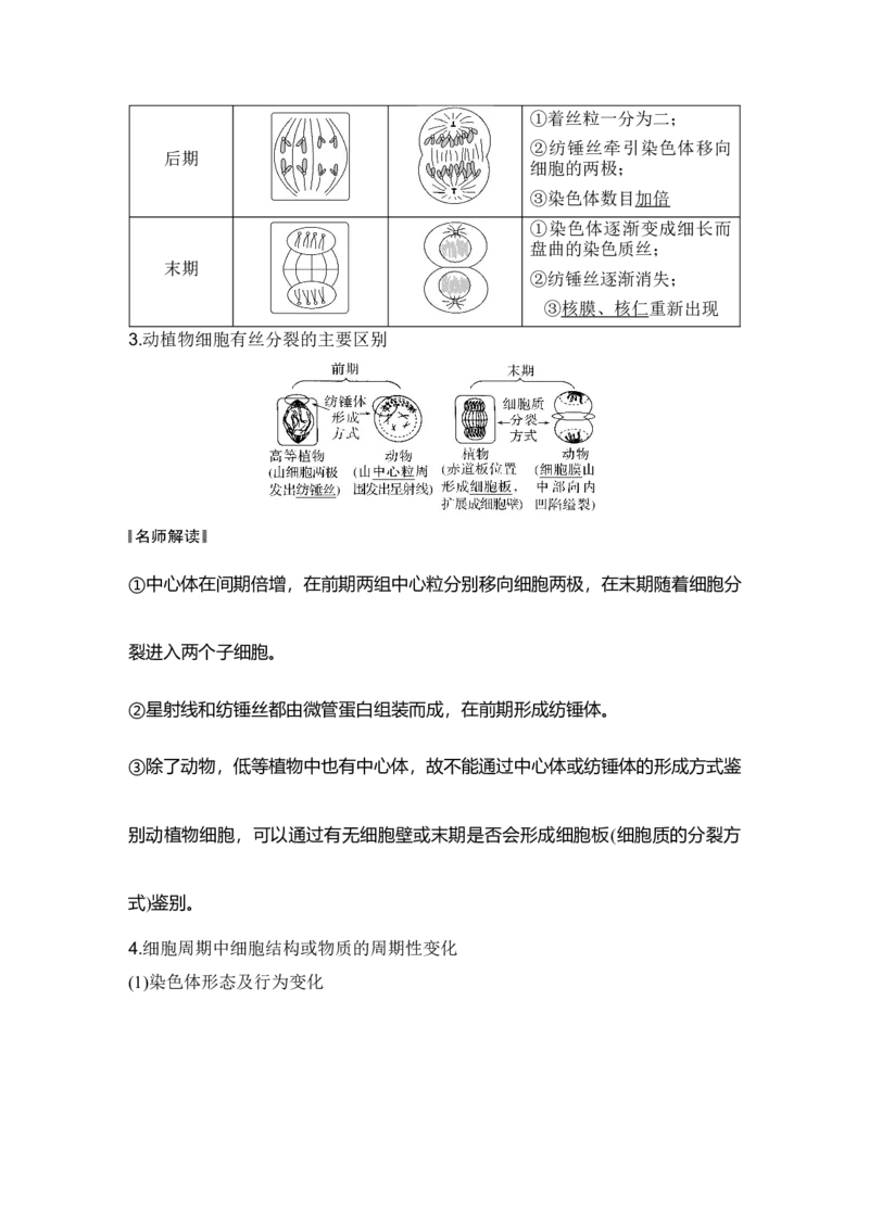 《第13讲细胞的增殖_高考一二三轮复习_生物_2027年高考生物一轮_12027年高考生物一轮复习讲义（考点详解）》第8页预览