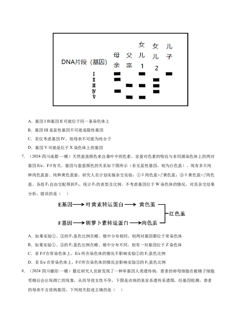 《专题09伴性遗传（学生版）_高考一二三轮复习_生物_2026年-生物高考专项复习_2025年高考生物一模试题分类汇编（四川专用）》第5页预览