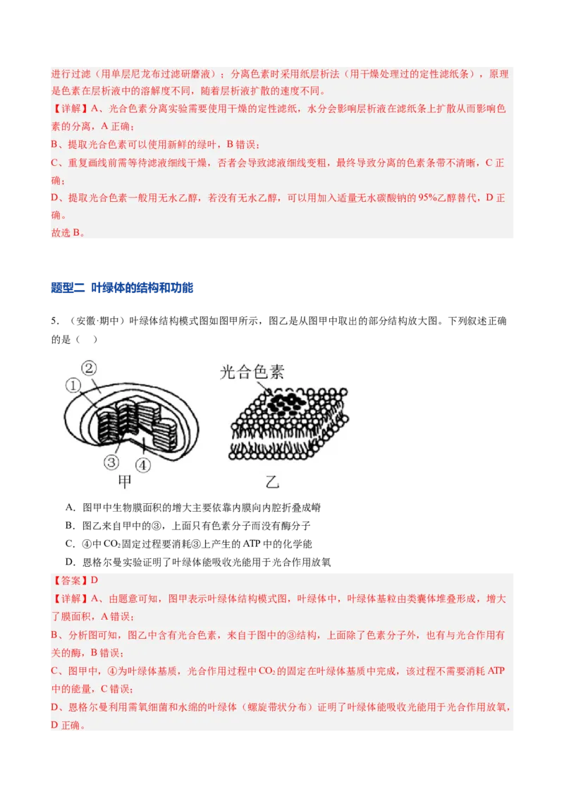 《第11讲光合作用（专项训练）（安徽专用）（解析版）_高考一二三轮复习_生物_2026年高考生物一轮_2026年高考生物一轮课件+讲义+练习（安徽专用）-G326》第3页预览